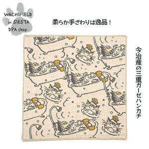 킿ӂ[ǁiWachifieldj^OdK[[nJ`iӂLj_ L wf202509bSIESTA