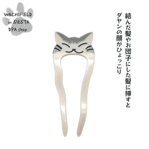 킿ӂ[ǁiWachifieldj^L񂴂_ L wf202510aSIESTA