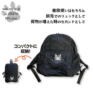 킿ӂ[ǁiWachifieldj^~jbNINbNił݁j_ L wf202510bSIESTA