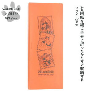 킿ӂ[ǁiWachifieldj^ׂt@CiIWj_ L wf202510cSIESTA