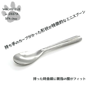 킿ӂ[ǁiWachifieldj^Xv[SiCCj_ L wf202510dSIESTA