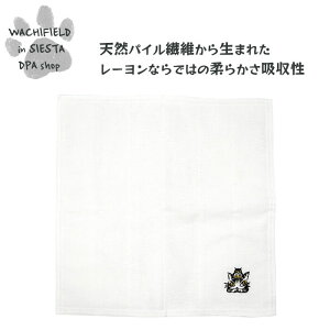 킿ӂ[ǁiWachifieldj^MtgȂӂiӂ낤j_ L wf202511bSIESTA