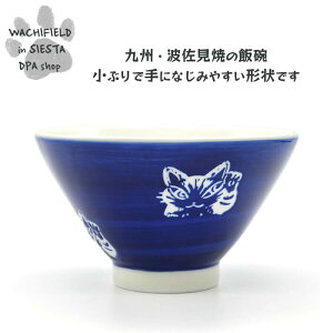 킿ӂ[ǁiWachifieldj^̂gĔјqij_ L wf202511bSIESTA