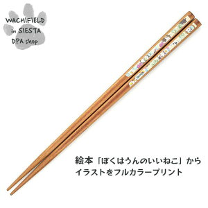 킿ӂ[ǁiWachifieldj^̂î˂j_ L wf202511bSIESTA