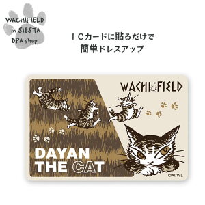 킿ӂ[ǁiWachifieldj^ICJ[hXebJ[ił݁j_ L wf202511dSIESTA