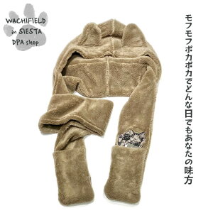 킿ӂ[ǁiWachifieldj^Lt[fB|Pt{A}tiL͉t́j_ L wf202511eSIESTA