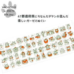 킿ӂ[ǁiWachifieldj^K[[Ăʂin_EVTj_ L wf202511dSIESTA