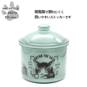 킿ӂ[ǁiWachifieldj^EhXgbJ[iR[q[j_ L wf202511cSIESTA