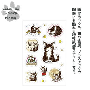 킿ӂ[ǁiWachifieldj^_̃}`XebJ[i_j_ L wf202511dSIESTA