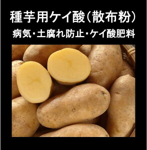 じゃがいも 種の人気商品 通販 価格比較 価格 Com