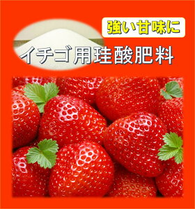 y]_99z@C`Š]_엿 (5kg/100m2jyz 엿 ]_@PC_엿 엿 ͍ A͍ h~ ؂̔엿 C`S̔엿 C`S ނ̔엿 g}g̔엿 L