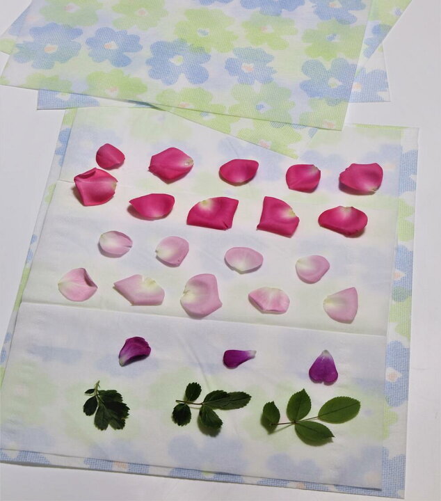市場 押し花 シリカゲル10g青粒入 押し花シート 乾燥した花を長期保存するための乾燥剤 保存用乾燥剤 乾燥シート 10個 送料200円 市場 押し花 シリカゲル10g青粒入 押し花シート 乾燥した花を長期保存するための乾燥剤 保存用乾燥剤 乾燥シート 10個 送料200円