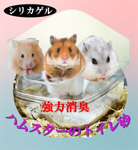 (p[EL) nX^[̃gC (1000ml)×y1܁zy390~zi͏LVJQgpij VJQ nX^[̃gC nX^[nEX э xgiCg [ICg ؍ p
