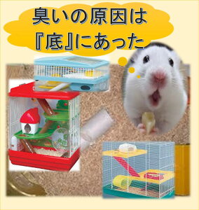 nX^[̒ELV[g yp[ELzi50cm×35cmj×y4zy220~zVJQ nX^[̃gC nX^[nEX э xgiCg [ICg ؍ pC`bv L 