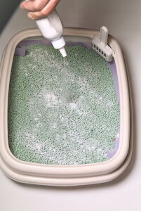 ýz ˂pL (280ml{g)×y5{zy520~z(ӂ肩Ė7L) L L L̍ L LpT[N L̃gC L̃xbh Lp LpL[obO Lbg^