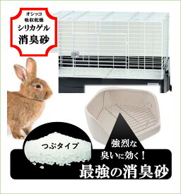 楽天市場 うさぎ トイレ チップの通販