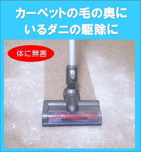 _jbV [JiJ[ybgɂ肱񂾃_j쏜j󊣑(100gE2j×y1zy220~zi_j͊ŋ쏜łj h h_j _jV[g _j}bg J[y