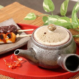 【12月13日10時開始ポイント10倍】信楽焼 急須 土もの急須 陶器 やきもの 信楽 ティーポット 食器 器 焼き物 ポット しがらき うつわ　南部急須 w315-01