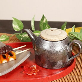 信楽焼 急須 土もの急須 陶器 やきもの 信楽 ティーポット 食器 土瓶 器 焼き物 ポット しがらき うつわ　南部ポット w315-06