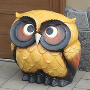 y11420Jn|Cg15{zMy a  15Y   ӂ낤 u  tNE 炫₫ N Mtg fu-0108