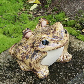 信楽焼 12号蛙 縁起物カエル 陶器蛙 やきもの 陶器 しがらきやき 蛙 陶器かえる 信楽焼カエル かえる 庭 カエル やきもの 金運 しがらき ka-0006
