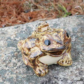 【12月13日10時開始ポイント10倍】信楽焼 6号口あき蛙 縁起物カエル 陶器蛙 やきもの 陶器 しがらきやき 蛙 陶器かえる 信楽焼カエル かえる 庭 カエル やきもの 金運 しがらき ka-0070