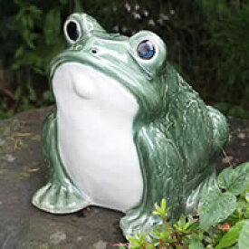 信楽焼 和風 おしゃれ カエル君 緑色 縁起物 カエル お庭 玄関 陶器 蛙 かえる 幸せ 子宝 健康　ka-0064