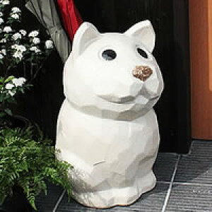 y20%OFFN[|zzzMy a  PăCku  CeA    P P  c{ 炫 P AuX^h JT^e Vz