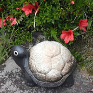 y11420Jn|Cg15{zMy a  9T  ɂvTł N̂ߒu ok-0057