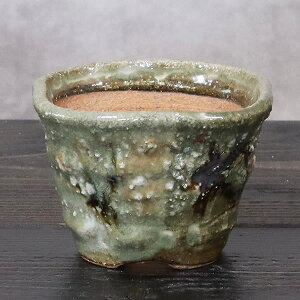 y11420Jn|Cg15{zR ̓Aؔ R쑐 My R  炫 픫 A ₫ MyĔ Â A 򍪐A sa-0349