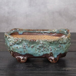 y11420Jn|Cg15{zR ̓Aؔ R쑐 My R  炫 픫 A ₫ MyĔ Â A 򍪐A sa-0351