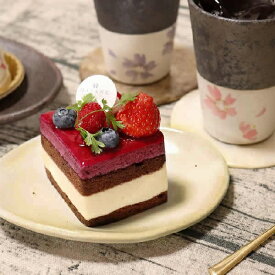 【12月13日10時開始ポイント10倍】信楽焼 小皿 皿 和食器 盛り付け 陶器 取り皿 萩手中皿 w321-14