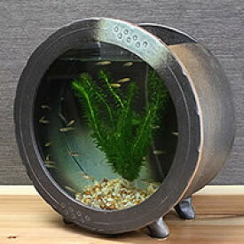 楽天市場 和風 水槽 アクアリウム 熱帯魚 アクアリウム ペット ペットグッズの通販