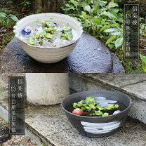 楽天市場】オーバーフロー 睡蓮鉢の通販