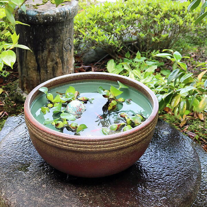 楽天市場 今だけポイント10倍 メダカ鉢 おしゃれな睡蓮鉢 金魚鉢 金魚鉢にも最適 睡蓮鉢 陶器スイレン鉢 ハス鉢 はす鉢 めだか鉢 鉢 陶器 水連鉢 水鉢 睡蓮鉢 信楽焼き睡蓮鉢 手水鉢13号窯肌ボール型 Su 00 信楽焼き専門店 陶器工房しがらき