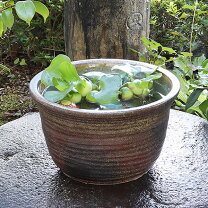 楽天市場】火鉢 金魚の通販