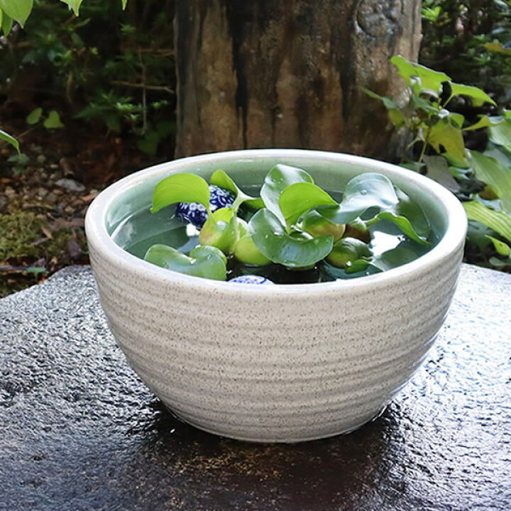 楽天市場 今だけ11 Offクーポン配布中 信楽焼 和風 おしゃれ 10号白カスミ水鉢 すいれん鉢 メダカ鉢 金魚鉢にも最適 睡蓮鉢 陶器スイレン鉢 ハス鉢 はす鉢 めだか鉢 鉢 陶器 水連鉢 水鉢 睡蓮鉢 き睡蓮鉢 手水鉢 Su 0138 信楽焼き専門店 陶器工房しがらき