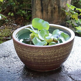 【12月13日10時開始ポイント10倍】信楽焼 和風 おしゃれ 10号窯肌水鉢 すいれん鉢 メダカ鉢、金魚鉢にも最適 睡蓮鉢 陶器スイレン鉢 ハス鉢 はす鉢 めだか鉢 鉢 陶器 水連鉢 水鉢 睡蓮鉢 手水鉢 su-0140