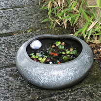 楽天市場】常滑焼 睡蓮鉢の通販