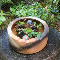 楽天市場】金魚 飼育 火鉢の通販