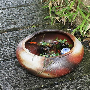 【10月24日20時開始ポイント10倍】すいれん鉢 信楽焼すいれん鉢 メダカ鉢、 金魚鉢にも最適 睡蓮鉢 陶器スイレン鉢 ハス鉢 はす鉢 めだか鉢 鉢 陶器 水連鉢 水鉢 信楽焼き睡蓮鉢 手水鉢 陶器