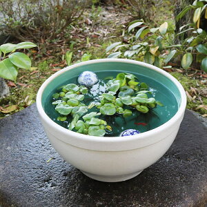 y11420Jn|Cg15{z13JX~  MyĂ _J  @ XC nX ͂ ߂   A  MyĂ@ 萅 