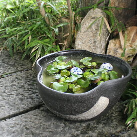 楽天市場 メダカ鉢 おしゃれ ガーデニング 農業 花 ガーデン Diy の通販