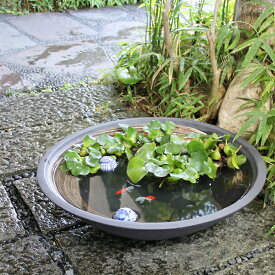 楽天市場 黒 めだか 鉢の通販