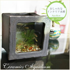 楽天市場 和風 水槽 アクアリウム 熱帯魚 アクアリウム ペット ペットグッズの通販
