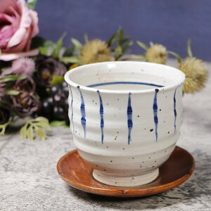 y11420Jn|Cg15{zMy ۂ 260mlij   ۉ 킢 aH { o Jbv H  ₫ Rbv Ă  X() w413-01