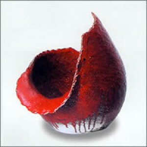 My a  헁pڂ C   ړp  f@ ts-732