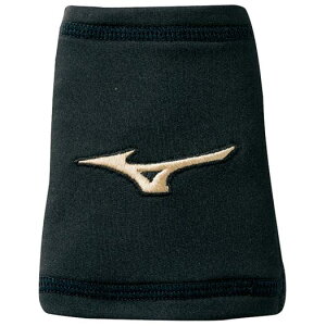 yz~Ym O[oG[g Xgoh(Xgb`^Cv) ubN Mizuno 12JY8Y0109