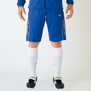 y290~z~Ym EH[Abvn[tpc Y u[ Mizuno P2MD708125