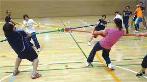 yzGoj[ EKA773 \j[v EVERNEW